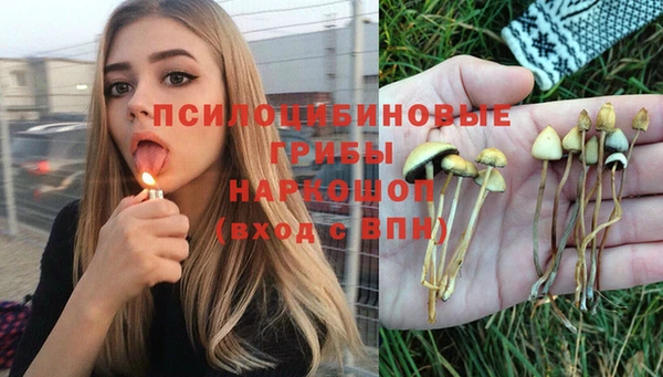 ПСИЛОЦИБИНОВЫЕ ГРИБЫ Балабаново