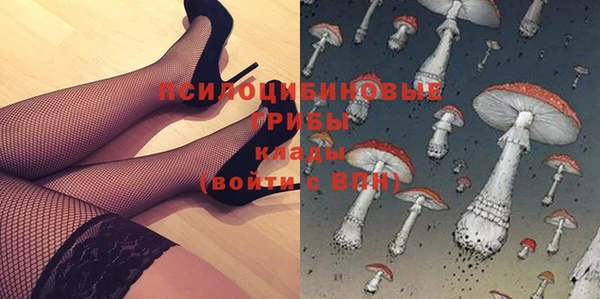 ПСИЛОЦИБИНОВЫЕ ГРИБЫ Балабаново