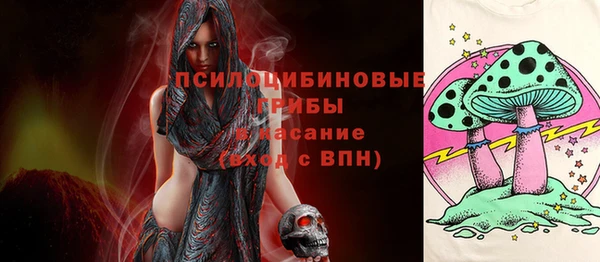 ПСИЛОЦИБИНОВЫЕ ГРИБЫ Балабаново