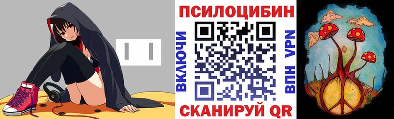 Купить  Миллерово  Псилоцибиновые грибы Magic Shrooms 